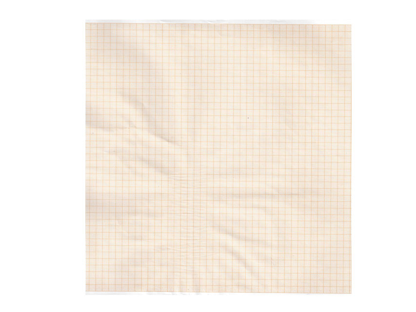 Carta Termica ECG 215mmx25m - Rotolo Griglia Arancio - 5 pz. image 0
