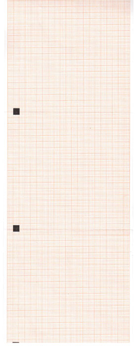 Carta termica ECG 112mmx100m x 300 pacchi griglia arancio 25pz. image 0